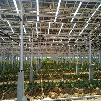 خورشیدی PV سازه های مزرعه