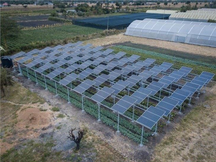 Agricultural - Complementary Photovoltaic Mounting Structures