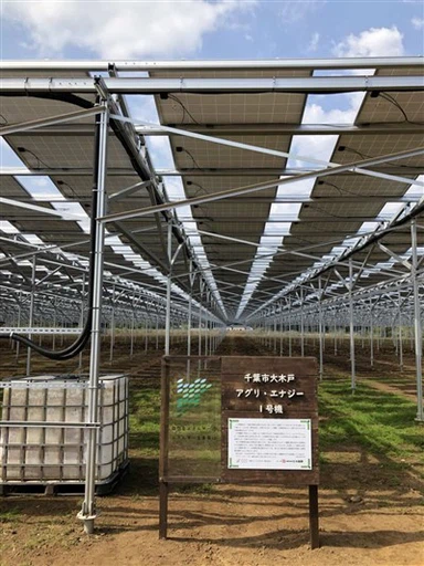 سیستم نصب Agrivoltaics خورشیدی